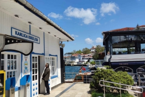 Istanbul: Bosphorus Cruise with Stopover on the Asian Side