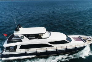 Istanbul: Bosphorus Cruise with Stopover on the Asian Side