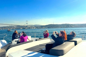 Istanbul: Bosphorus Cruise with Stopover on the Asian Side