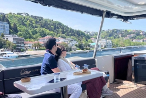 Istanbul: Bosphorus Cruise with Stopover on the Asian Side