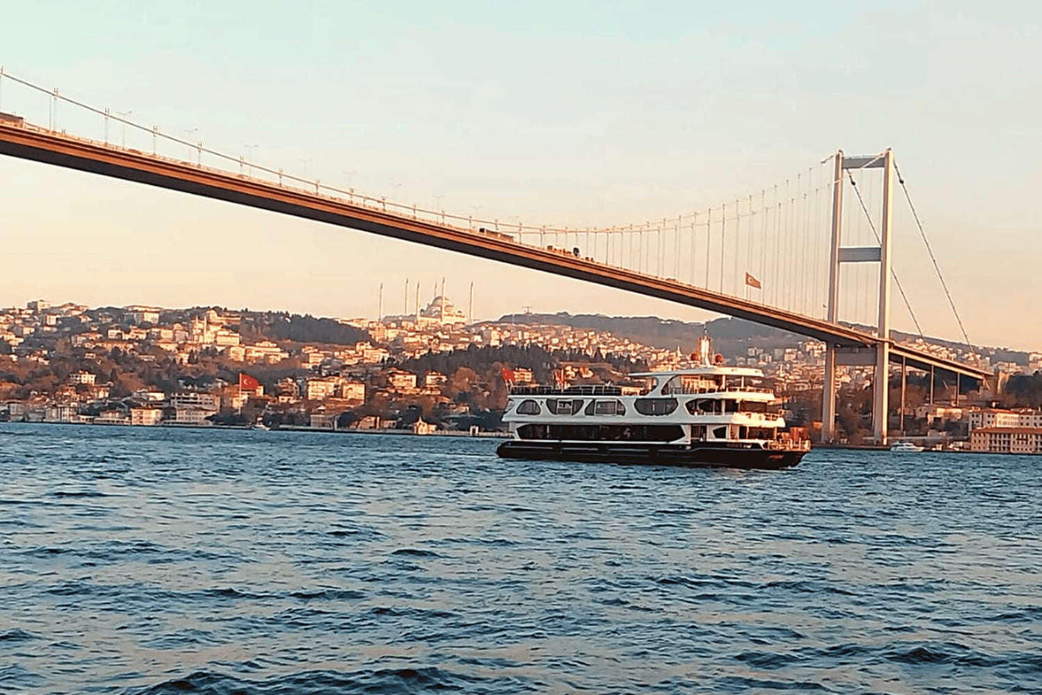 Istanbul: Bosphorus Dinner Cruise with Drinks & Turkish Show