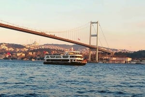 Istanbul: Bosphorus Dinner Cruise with Drinks & Turkish Show