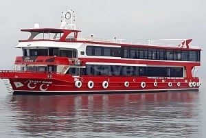 Istanbul: Bosphorus Dinner Cruise