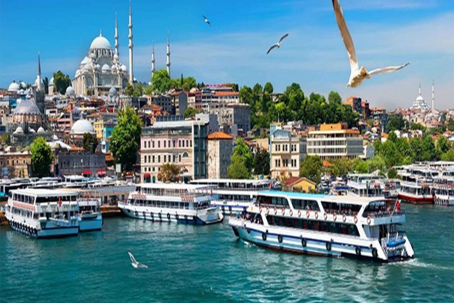 Istanbul Bosphorus Morning Cruise Guided Tour