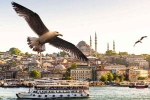 Istanbul: Bosphorus Morning/Sunset Cruise with Optional Stop