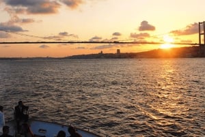 Istanbul: Bosphorus Morning/Sunset Cruise with Optional Stop
