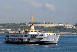 Istanbul: Bosphorus Morning/Sunset Cruise with Optional Stop