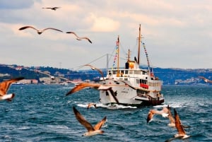 Istanbul: Bosphorus Morning/Sunset Cruise with Optional Stop