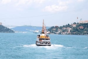 Istanbul: Bosphorus Morning/Sunset Cruise with Optional Stop