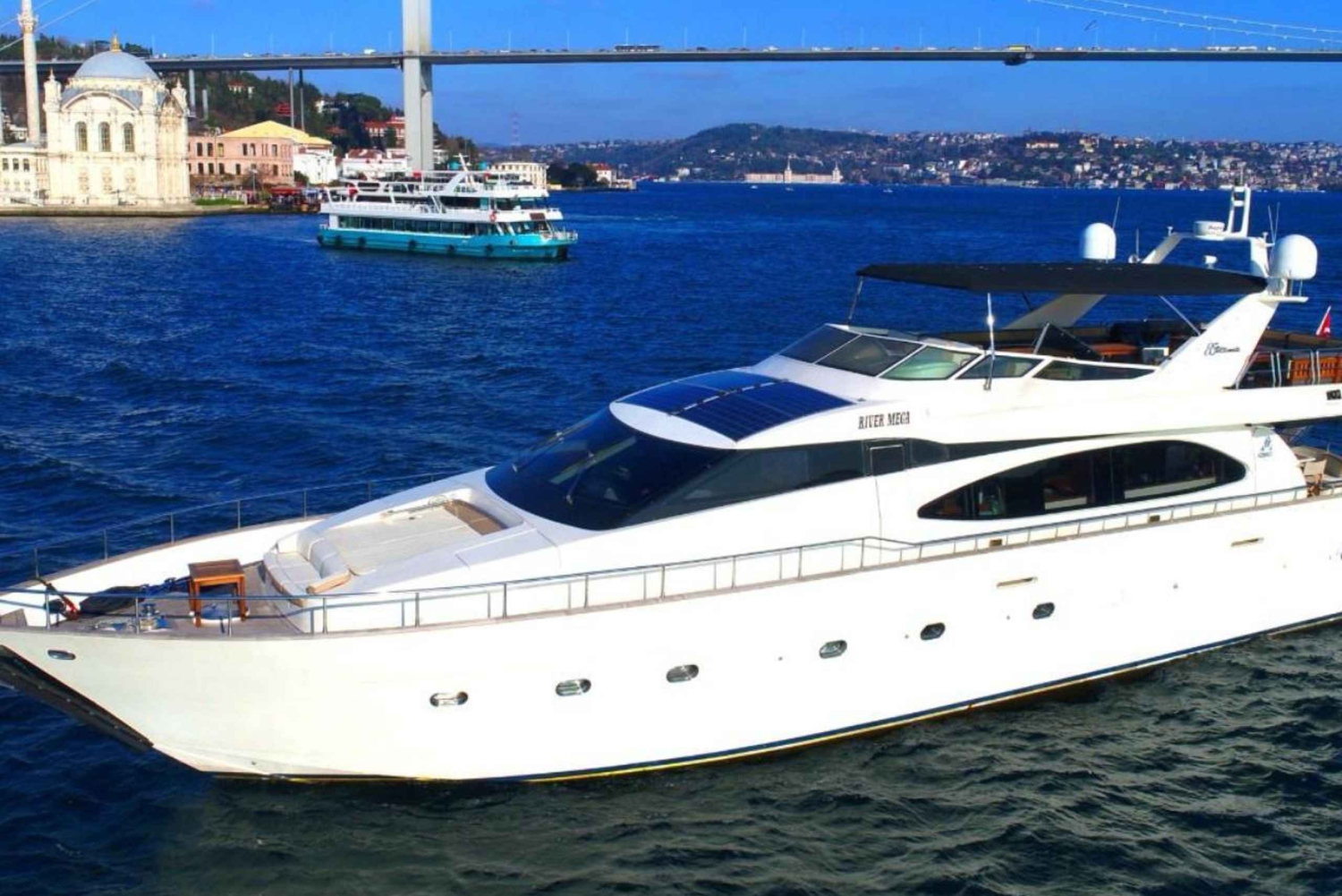 Istanbul: Bosphorus Private Guided Yacht Cruise with Snacks