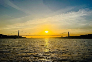Istanbul: Bosphorus Private Guided Yacht Cruise with Snacks