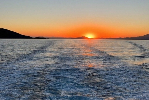 Istanbul: Bosphorus Private Guided Yacht Cruise with Snacks