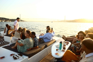 Istanbul: Bosphorus Private Guided Yacht Cruise with Snacks