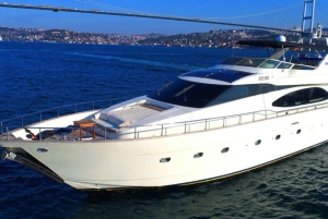 Istanbul: Bosphorus Private Guided Yacht Cruise with Snacks