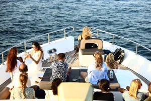 Istanbul: Bosphorus Private Guided Yacht Cruise with Snacks