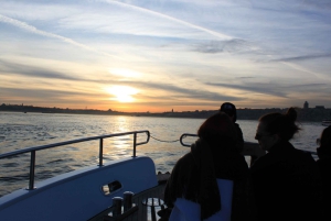 Istanbul: Bosphorus Private Guided Yacht Cruise with Snacks