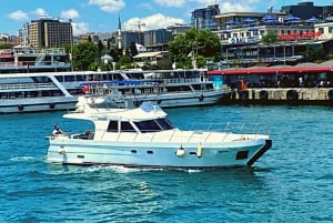 İstanbul: Bosphorus Private Yacht Cruise with Tea and Coffee