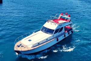İstanbul: Bosphorus Private Yacht Cruise with Tea and Coffee