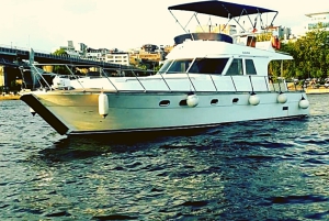 İstanbul: Bosphorus Private Yacht Cruise with Tea and Coffee