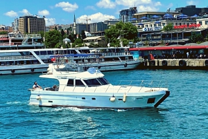 İstanbul: Bosphorus Private Yacht Cruise with Tea and Coffee