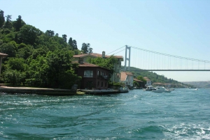 Istanbul: Bosphorus and Golden Horn Boat Tour with Guide