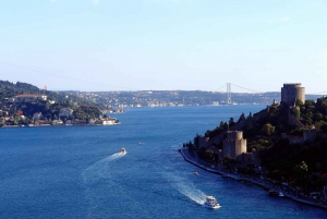 Istanbul: Bosphorus and Golden Horn Boat Tour with Guide