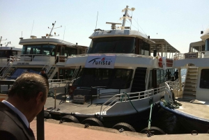 Istanbul: Bosphorus and Golden Horn Boat Tour with Guide