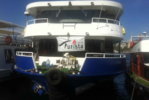 Istanbul: Bosphorus and Golden Horn Boat Tour with Guide