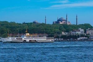 Istanbul: Bosphorus Sightseeing Cruise with Sunset Option