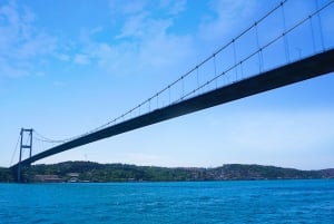 Istanbul: Bosphorus Sightseeing Cruise with Sunset Option
