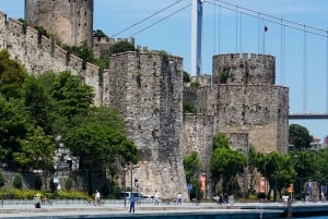 Istanbul: Bosphorus Sightseeing Cruise with Sunset Option