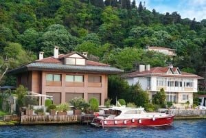 Istanbul: Bosphorus Sightseeing Cruise with Sunset Option