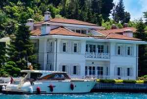 Istanbul: Bosphorus Sightseeing Cruise with Sunset Option