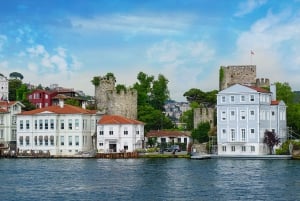 Istanbul: Bosphorus Sightseeing Cruise with Sunset Option