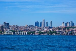 Istanbul: Bosphorus Sightseeing Cruise with Sunset Option