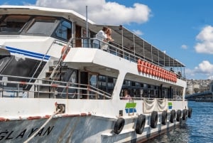 Istanbul: Bosphorus Sightseeing Cruise with Sunset Option