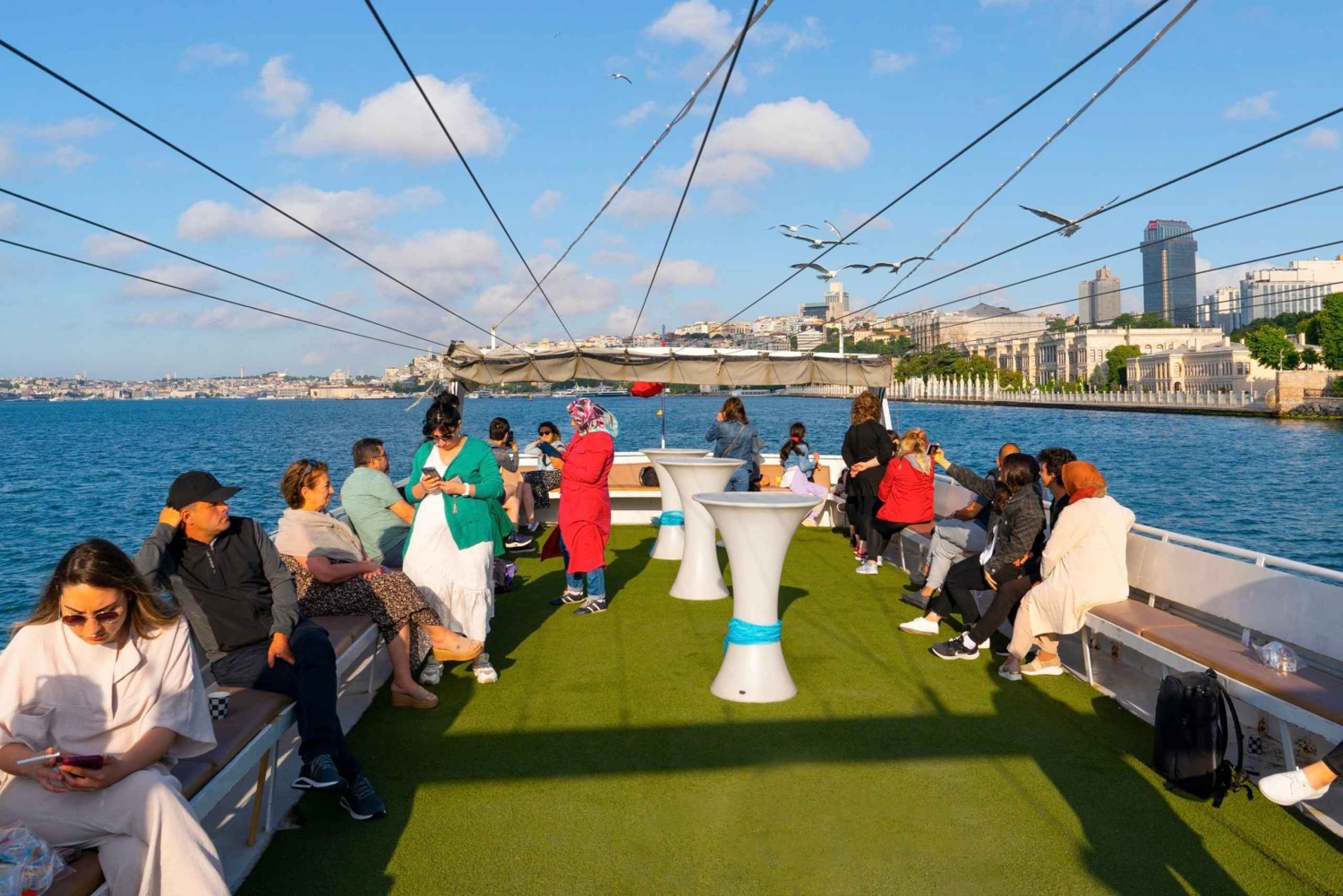 Istanbul: Bosphorus Strait Sightseeing Cruise & Audio Guide