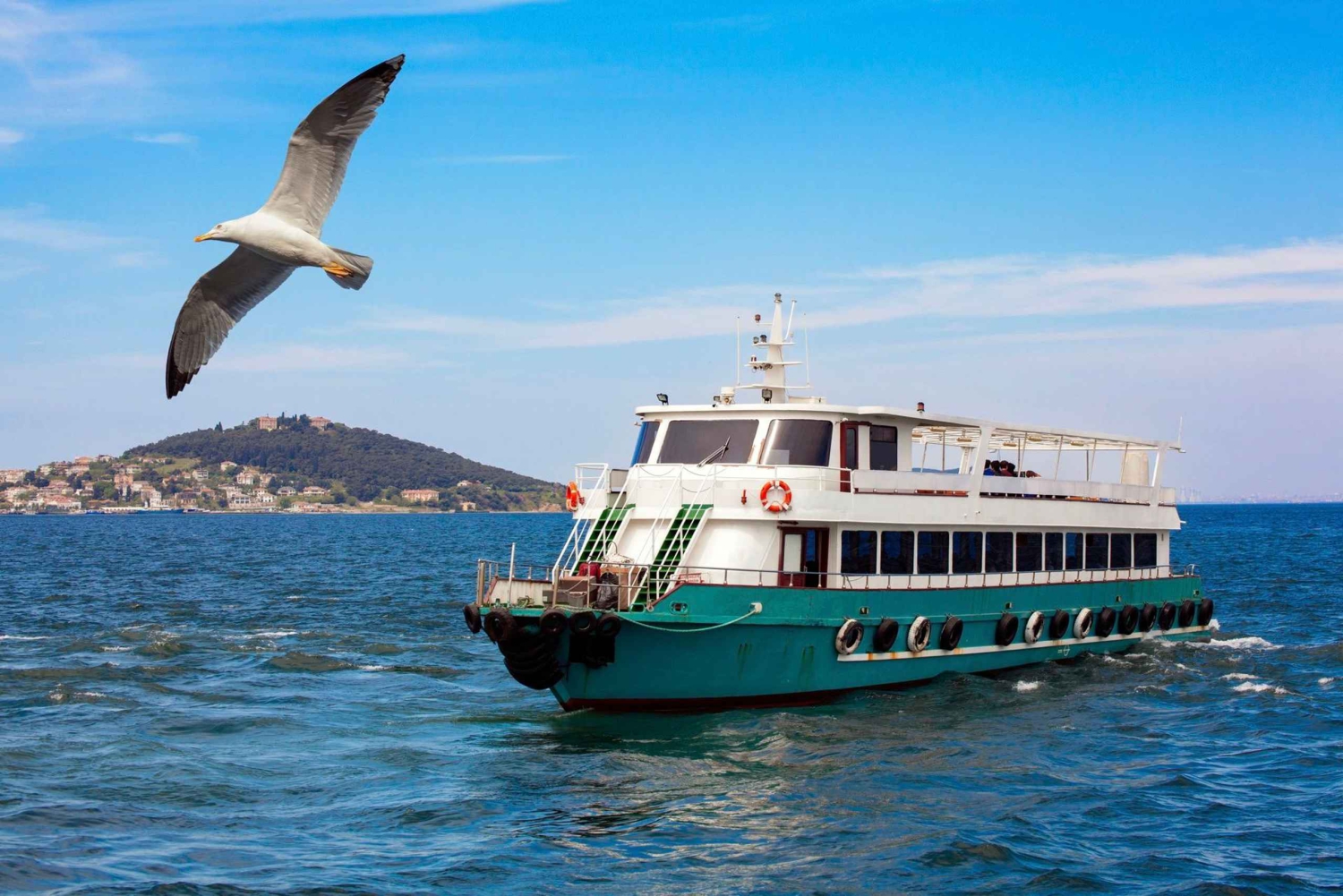 Istanbul: Bosphorus Strait Sightseeing Cruise & Audio Guide