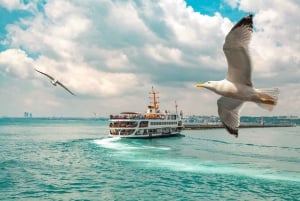 Istanbul: Bosphorus Strait Sightseeing Cruise & Audio Guide