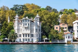 Istanbul: Bosphorus Strait Sightseeing Cruise & Audio Guide