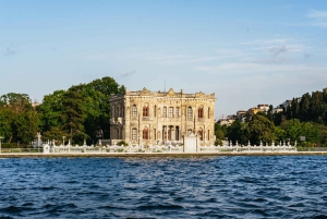 Istanbul: Bosphorus Sunset Cruise on a Luxurious Yacht