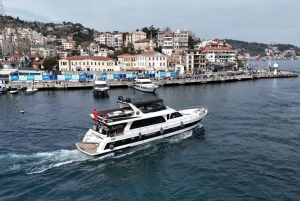 Istanbul: Bosphorus Sunset Cruise on Yacht with Live Guide