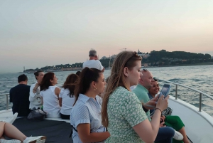 Istanbul: Bosphorus Sunset Cruise on Yacht with Live Guide