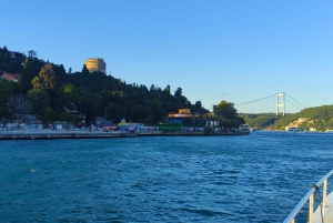 Istanbul: Bosphorus Sunset Cruise with Snacks and Wine