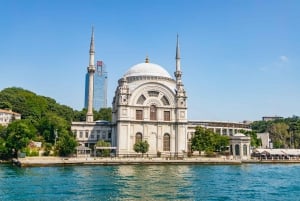 Istanbul: Bosphorus Yacht Cruise with Stopover on Asian Side