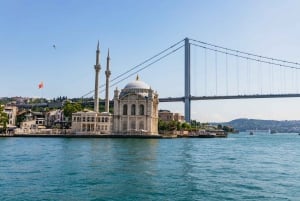 Istanbul: Bosphorus Yacht Cruise with Stopover on Asian Side
