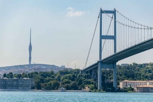 Istanbul: Bosphorus Yacht Cruise with Stopover on Asian Side