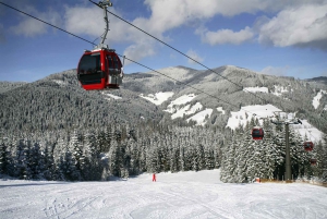 Istanbul: Bursa & Uludag Mountain Day Trip w/ Opt. Cable Car