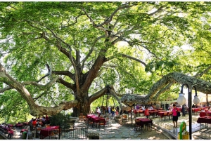 Istanbul: Bursa & Uludag Mountain Day Trip w/ Opt. Cable Car