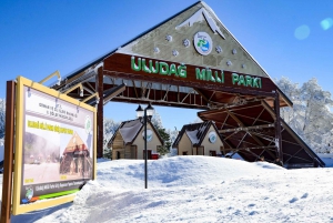 Istanbul: Bursa & Uludag Mountain Day Trip w/ Opt. Cable Car